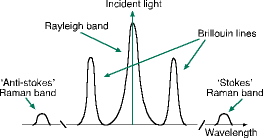 Figure 2 - Backscatter spectrum